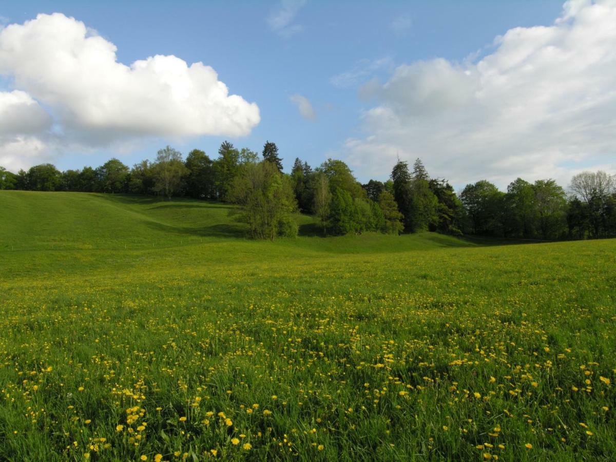 Malerhaus Am Kolbergarten * Bad Tölz
